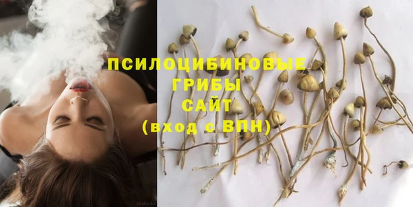 сатива Абдулино