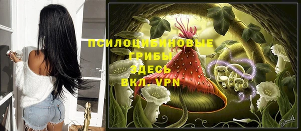 твердый Алзамай